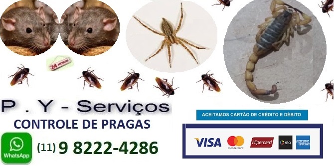 Desentupidora 11 9 8222-4286